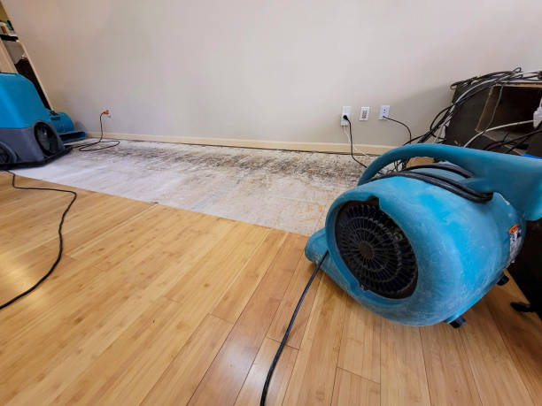 Reliable Crawl Space Water Removal contractor in Covington, VA by Hirex Water Damage