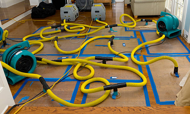 Professional Crawl Space Water Removal technician working in Covington, VA